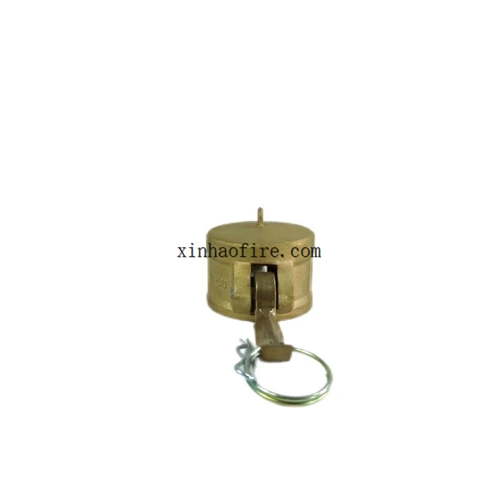 Camlock Cap